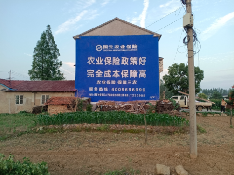 巢湖墙体广告为何受追捧?