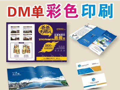巢湖单页印刷，色彩搭配简单。